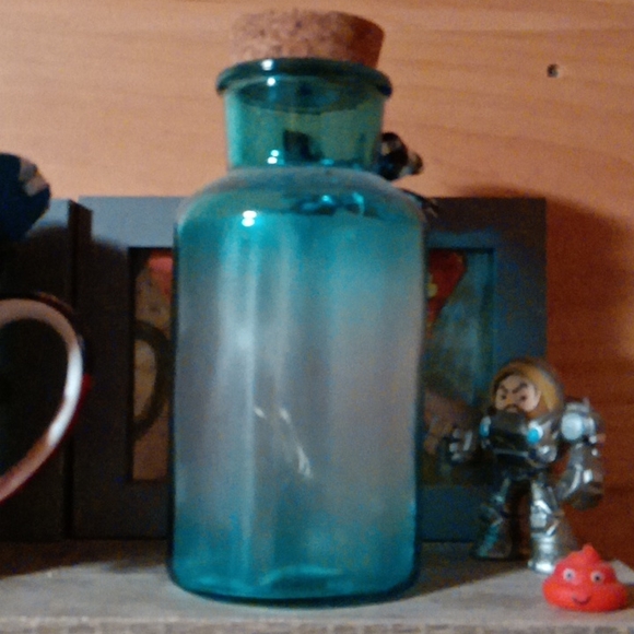 Friends Are The Flowers Of The Garden Quote Cute Light Up Blue Jar With Cork Lid - Picture 3 of 3